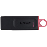 Kingston DataTraveler Exodia 256GB USB 3.2 Flash Drive DTX/256GB